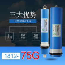 家用净水器RO膜 反渗透过滤膜 净水机专用滤芯1812-75G洰瀓膜