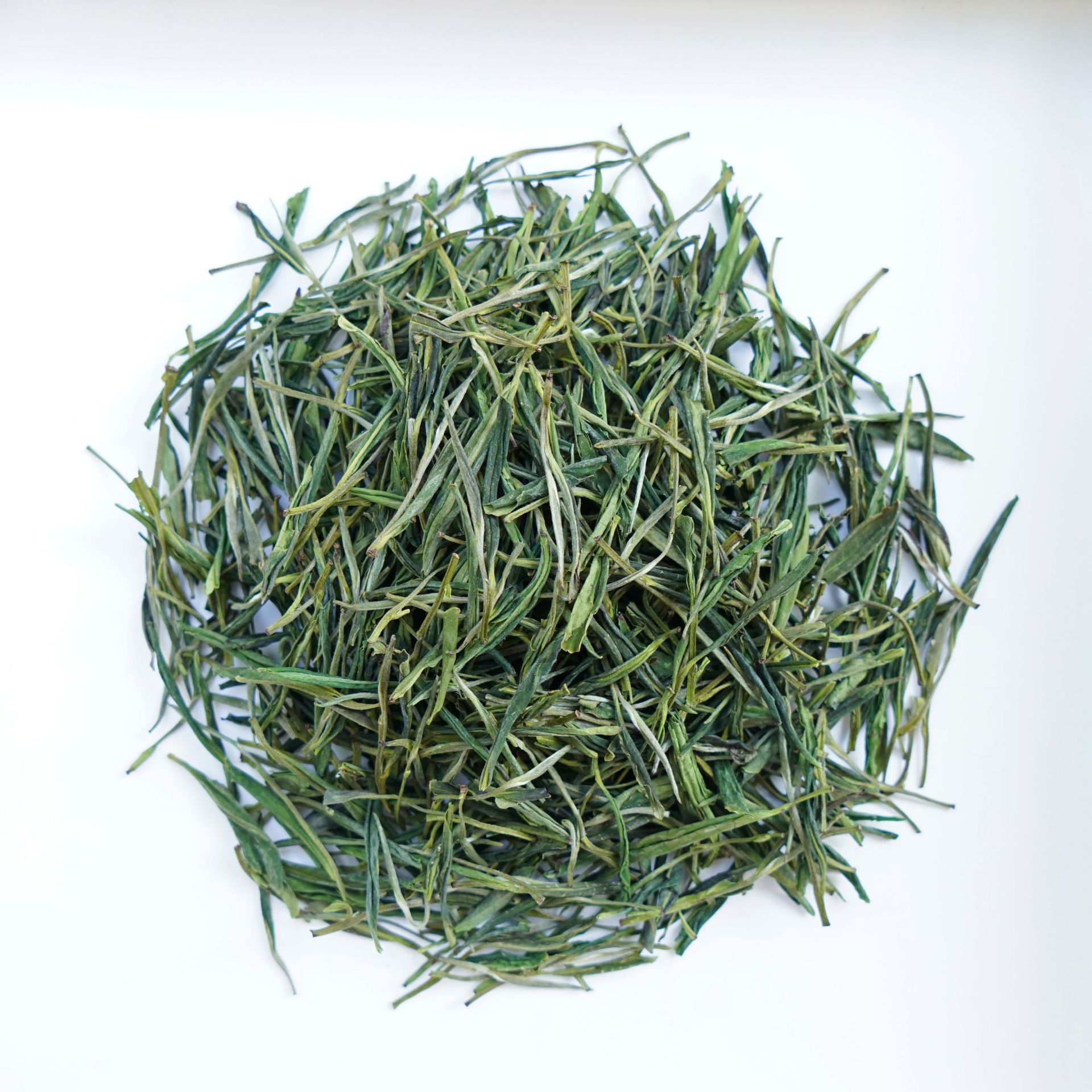 浙江新绿茶高山毛峰松阳白茶毛峰 清香型 茶叶厂家批发