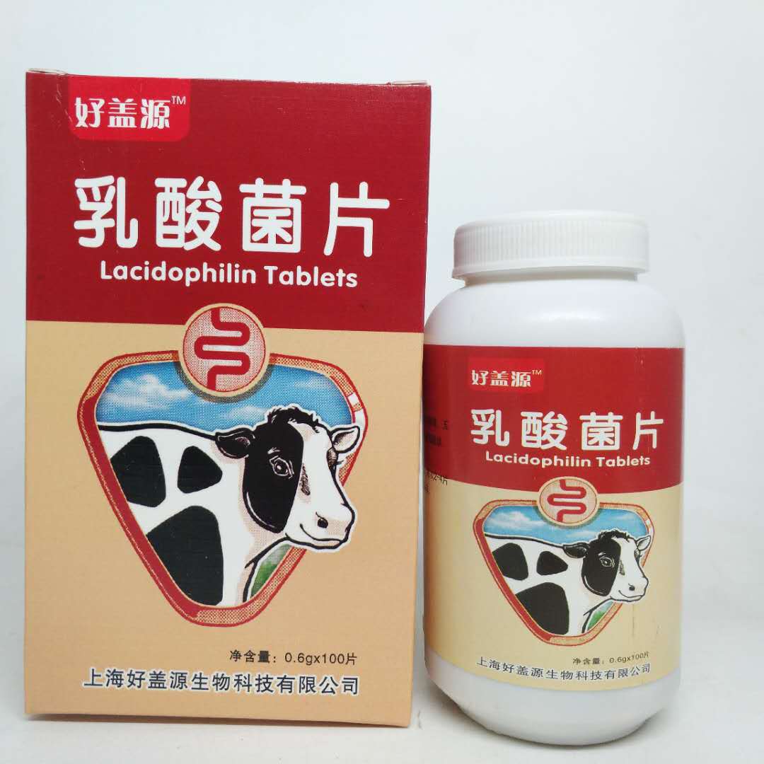 乳酸菌片 咀嚼片益生菌片100片装代发