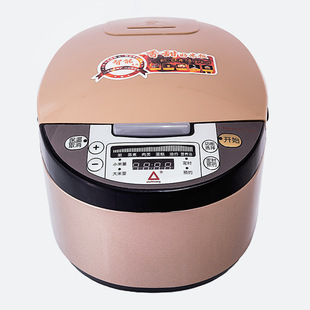 厂家直销金纳斯智能电饭煲预约多功能 现货批发礼品oem定制
