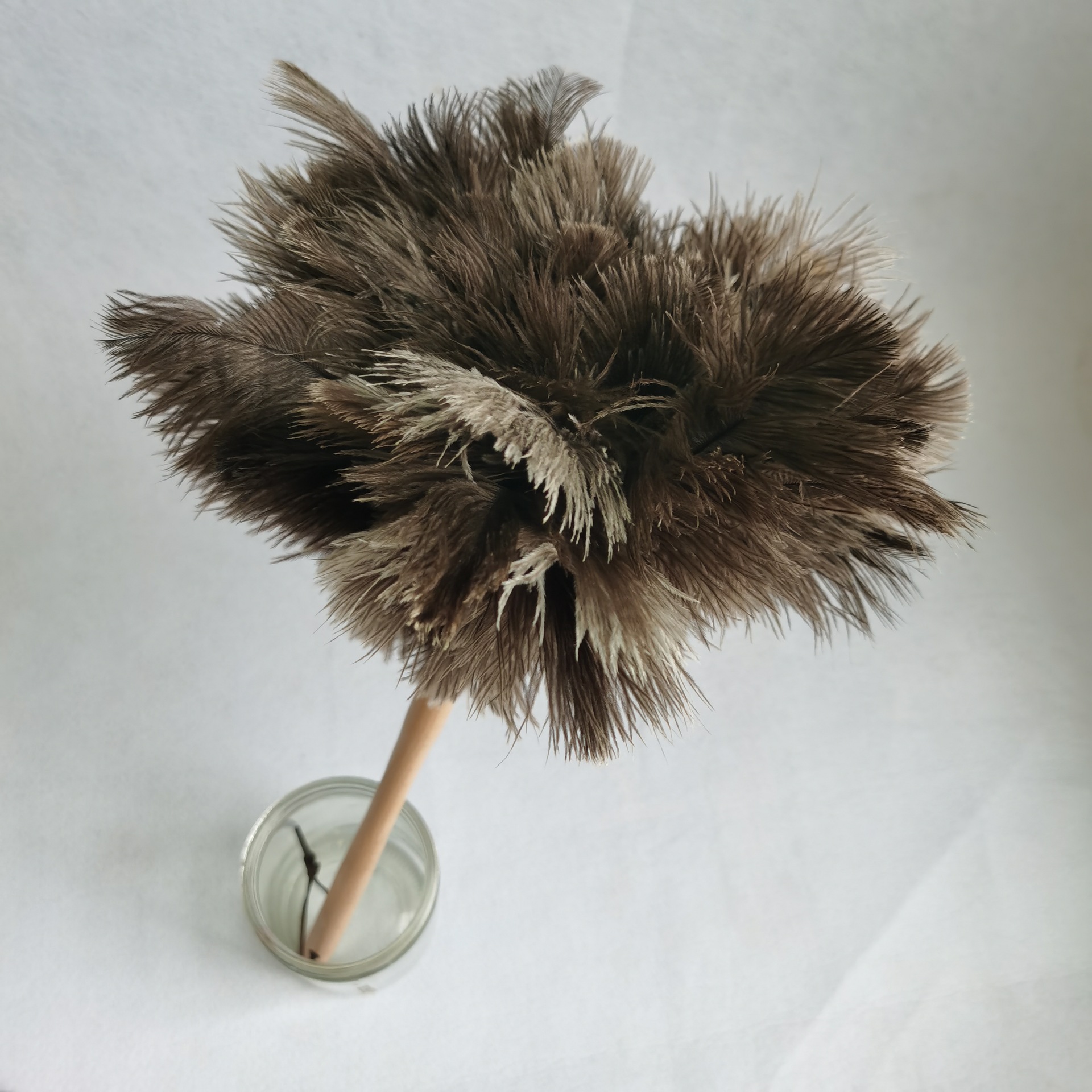 防静电鸡毛掸子 高质量鸵鸟毛羽毛掸实木手柄精品鸡毛扫