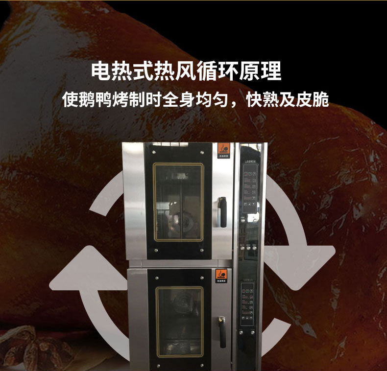 厂价供应 qh-10dx2双层双控 智能烤鸭炉 热风电烤炉 烧鹅鸭专用