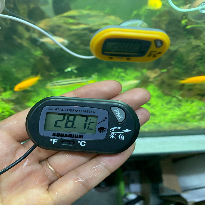 朵鱼水族温度计养鱼液晶水温计热带鱼电子水温仪器鱼缸水族箱测温