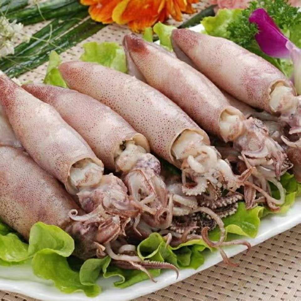 籽乌海兔子满籽籽乌笔管鱼乌贼熟冻籽乌墨鱼八爪鱼海鲜火锅食材