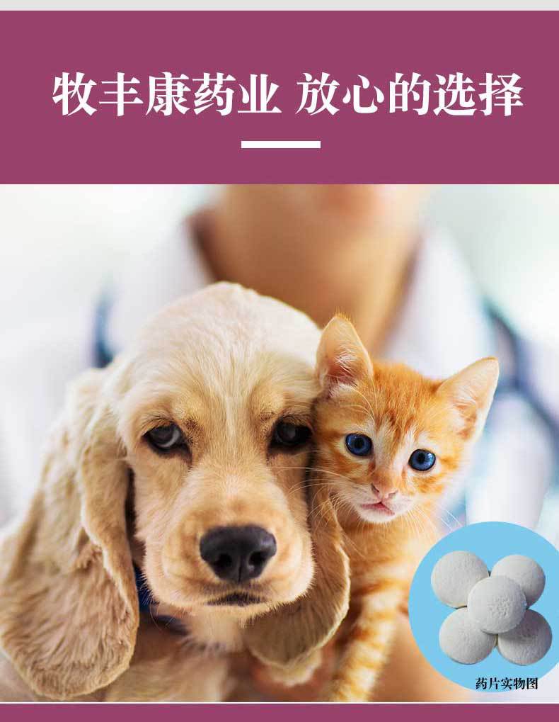 宠物药品狗狗猫咪感冒药尿路感染阿莫西林片口炎猫支鼻治疗消炎片
