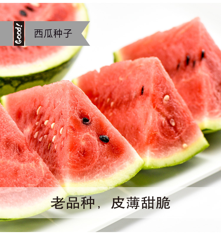 郑杂五号西瓜种籽老品种皮薄甜脆早熟水果种子瓜果菜种孑籽种春季