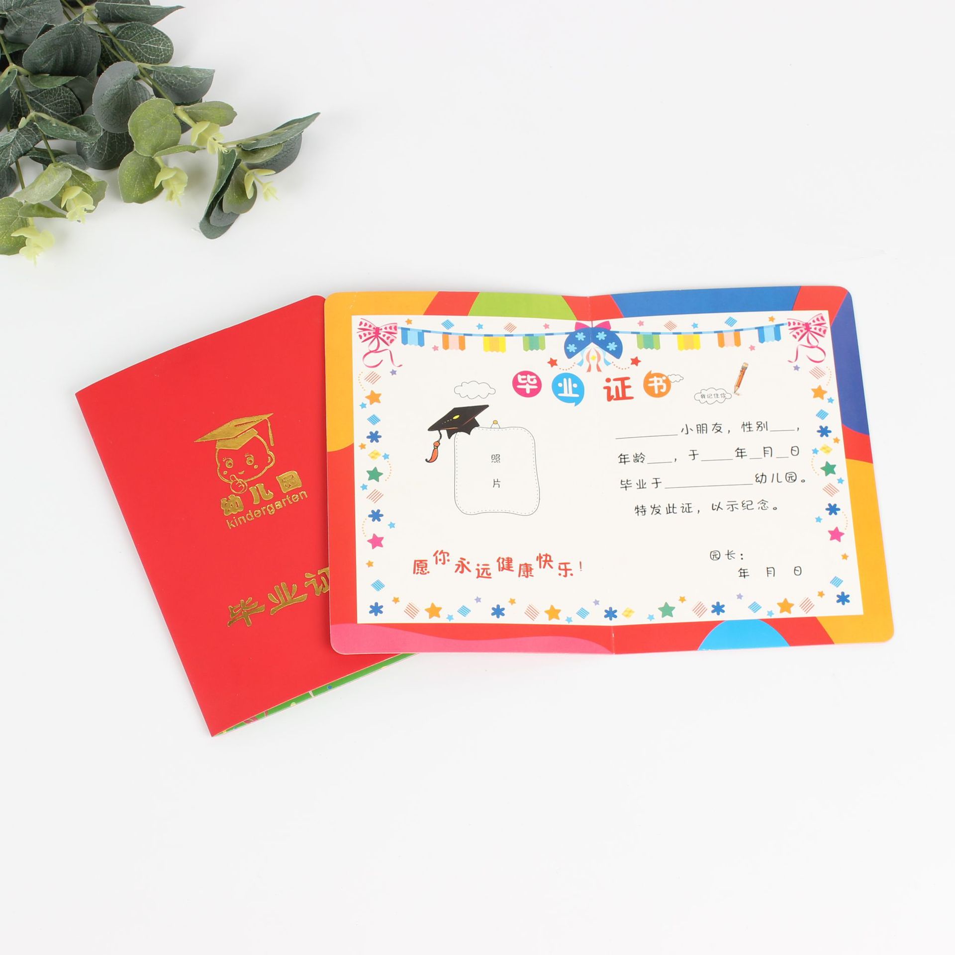 幼儿园大班毕业证书纪念册16k小朋友奖状纸外壳做制内芯离园证