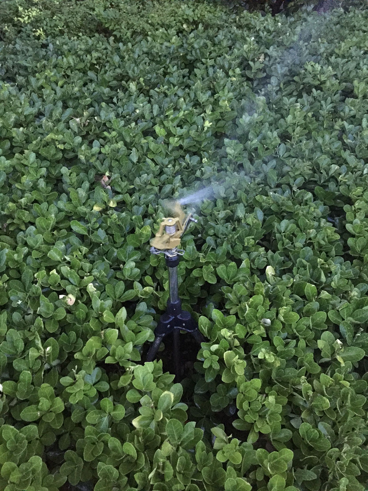 绿化草坪喷灌喷头浇水工具花园别墅庭院不锈钢三角支架锌鸟洒水器