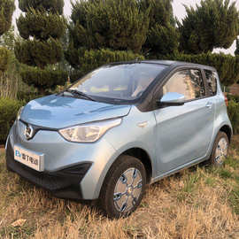 新款雷丁coco 两门四座电动汽车成人新能源油电两用代步车包邮