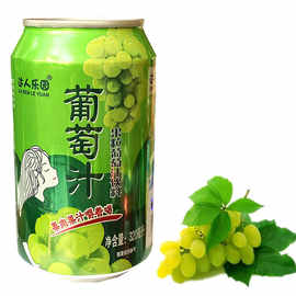 达人乐园果粒葡萄汁蜜桃味荔枝味杨梅味果肉饮料320ml整箱24罐