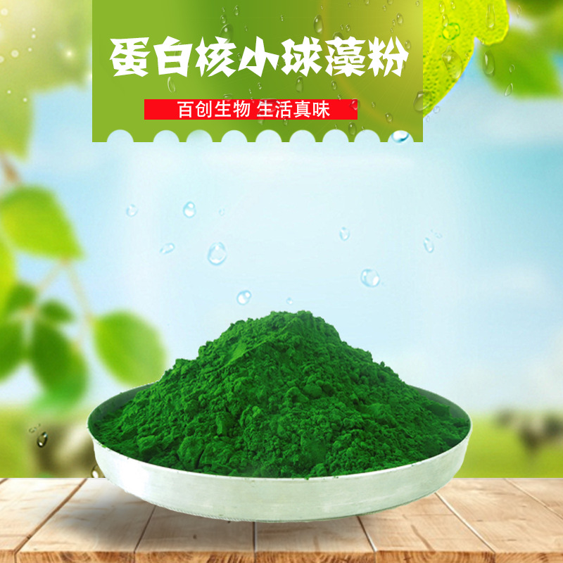 供应食品级 蛋白核小球藻粉 破壁小球藻提取物 绿色粉末 1kg起订