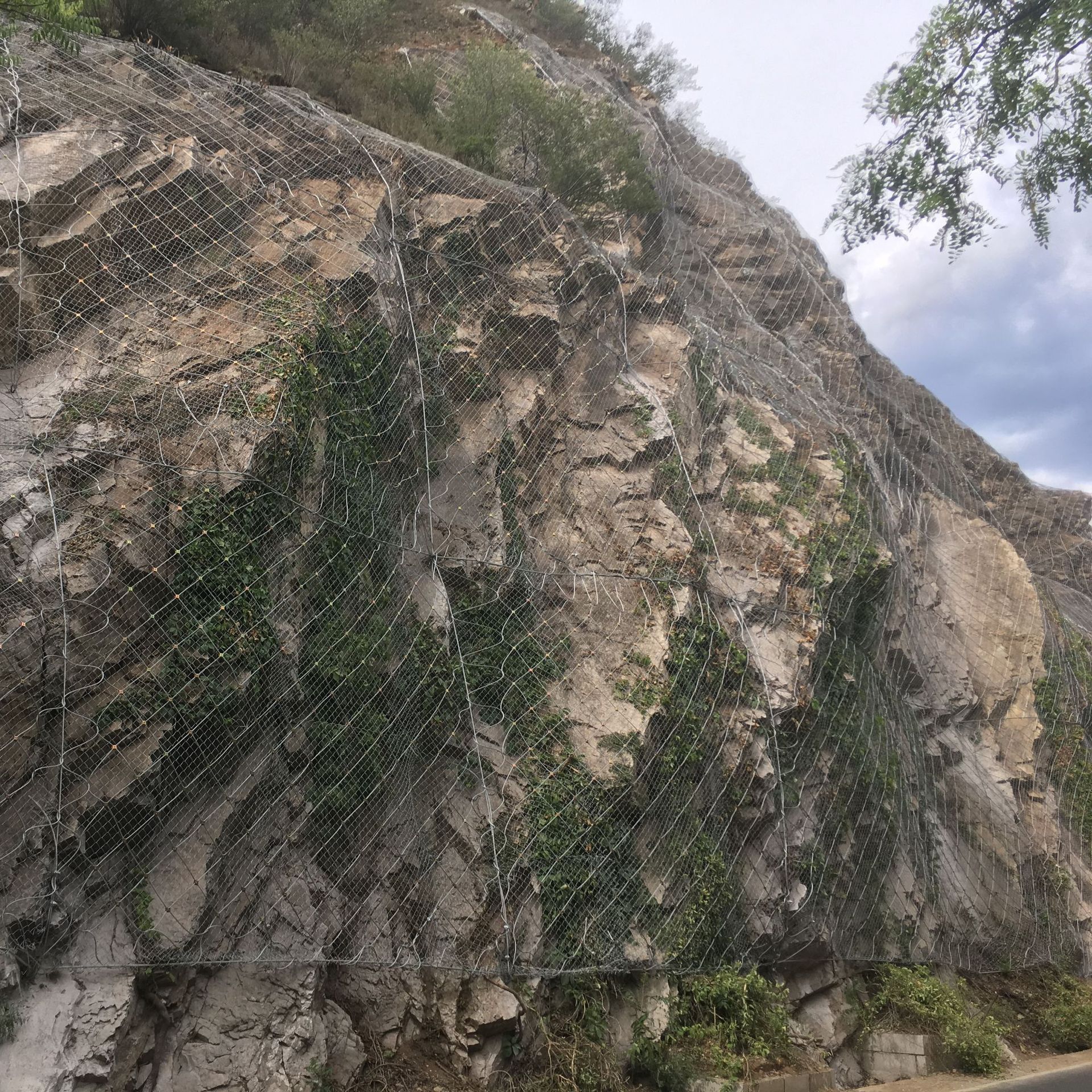 厂家主动被动防护网 边坡防护网钢丝绳网 隔离防护网