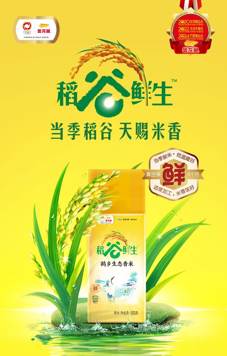 金龙鱼米面油套餐配礼袋调味杂粮宣传促销品集采批发婚庆拌手礼