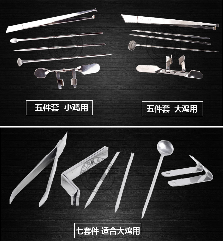 不锈钢专业全套阉鸡工具大鸡小鸡阉割刀 公鸡阉鸡刀 阉鸡器阉割器