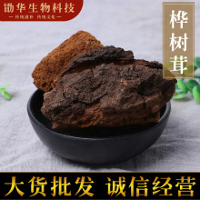 批发桦树茸黑金颗粒整块桦褐孔菌泡水农产品散装农产品500g