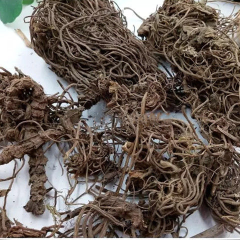包邮中药材 缬草 毛缬草 缬草根 穿心排草 250克 500克多规格可选