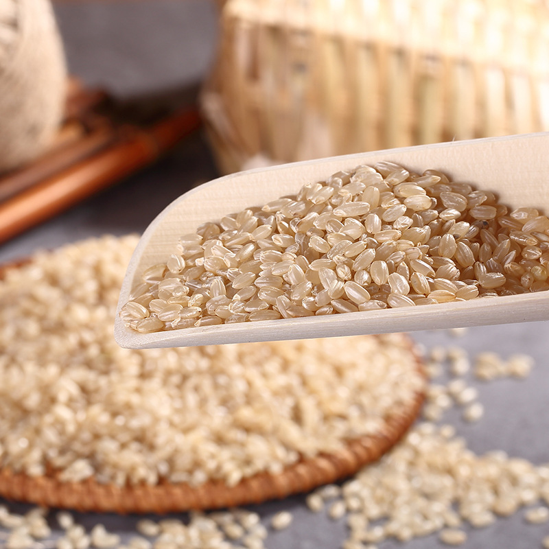 东北五常糙米新米5斤 玄米 农家发芽米 粗胚芽米健身糙米五谷杂粮