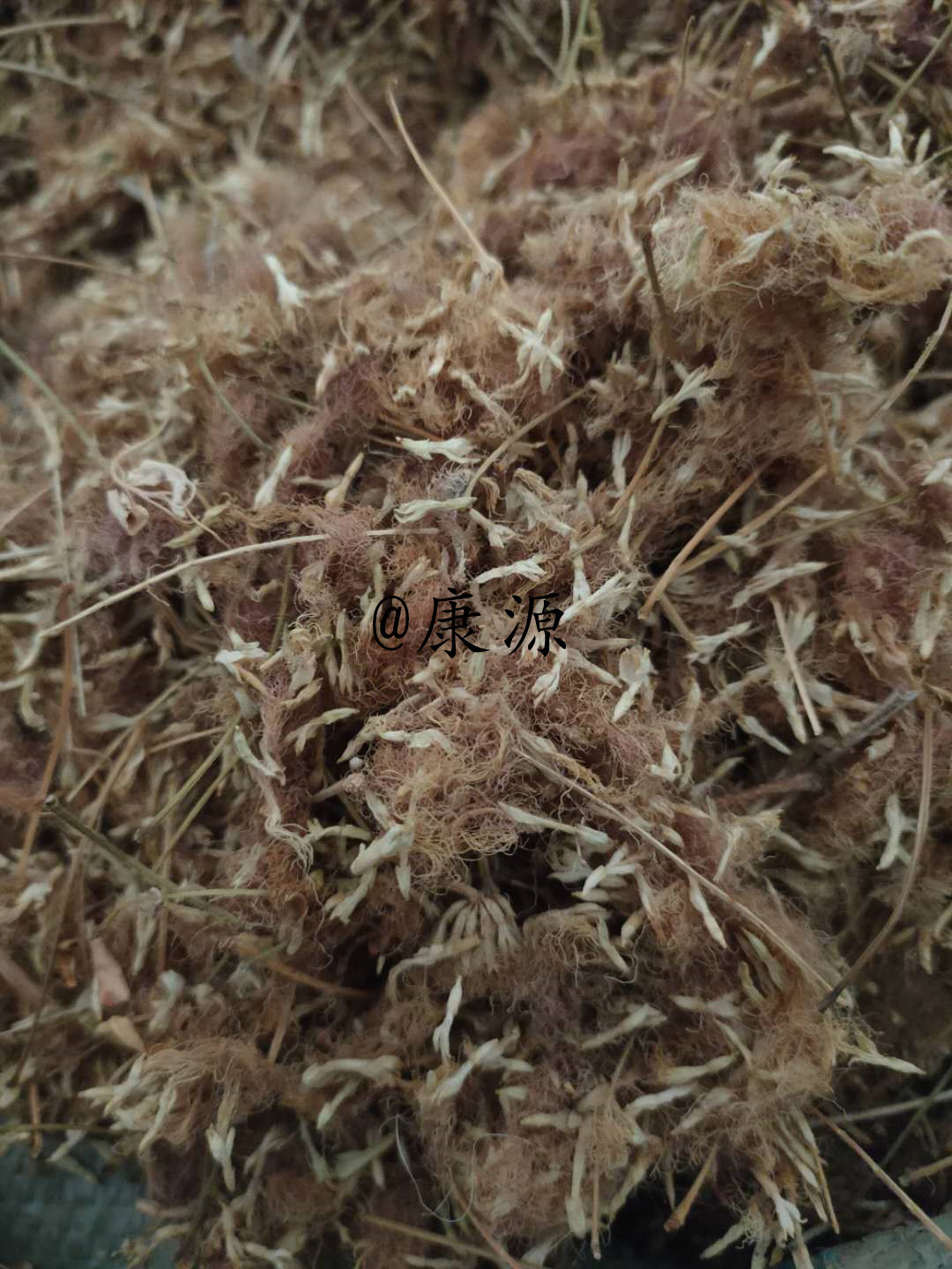 【马传银】实体店批发零售中药材合欢花统装合欢花