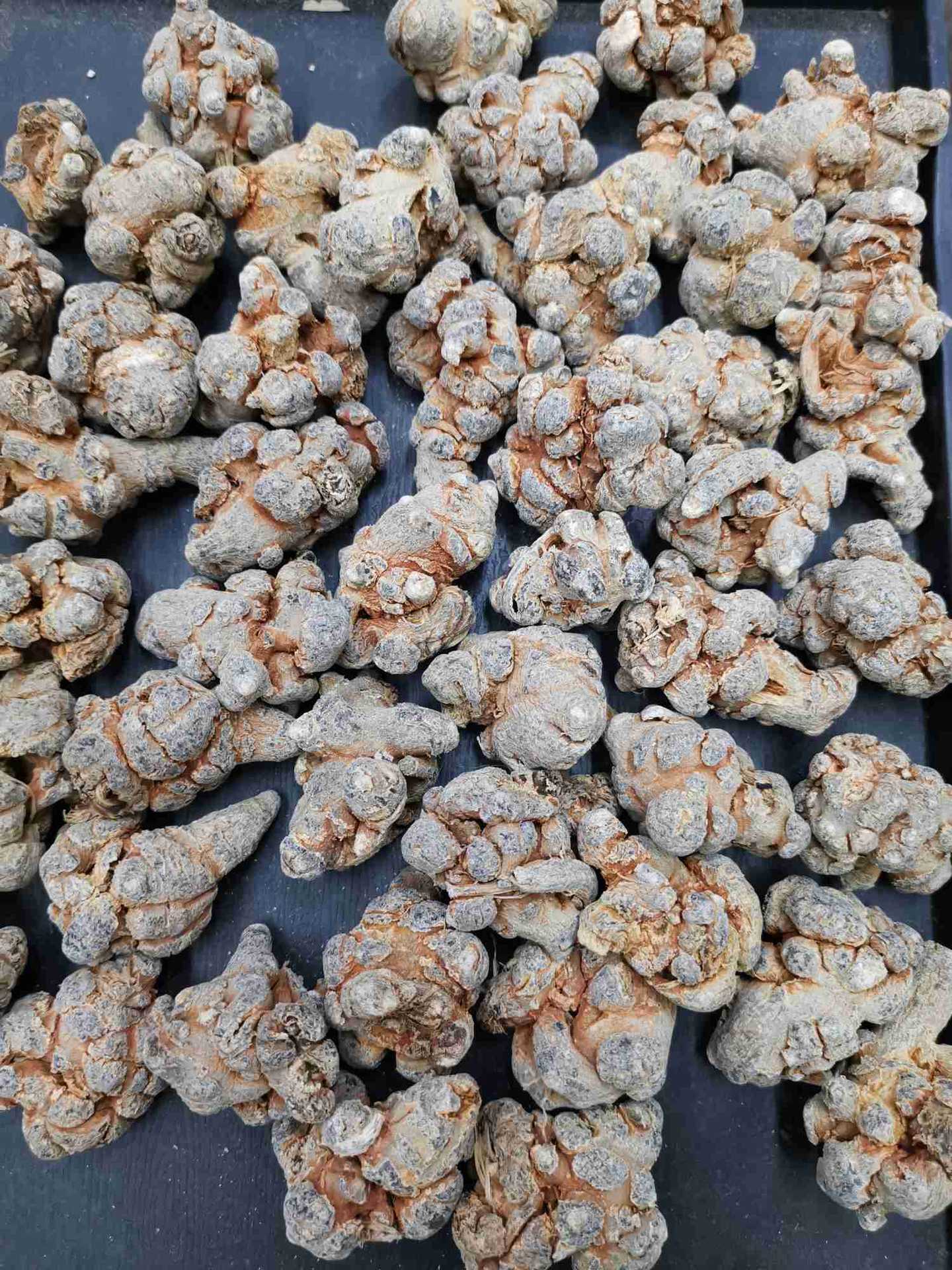 云南文山三七个水洗足干田七头20头30头代打超细粉