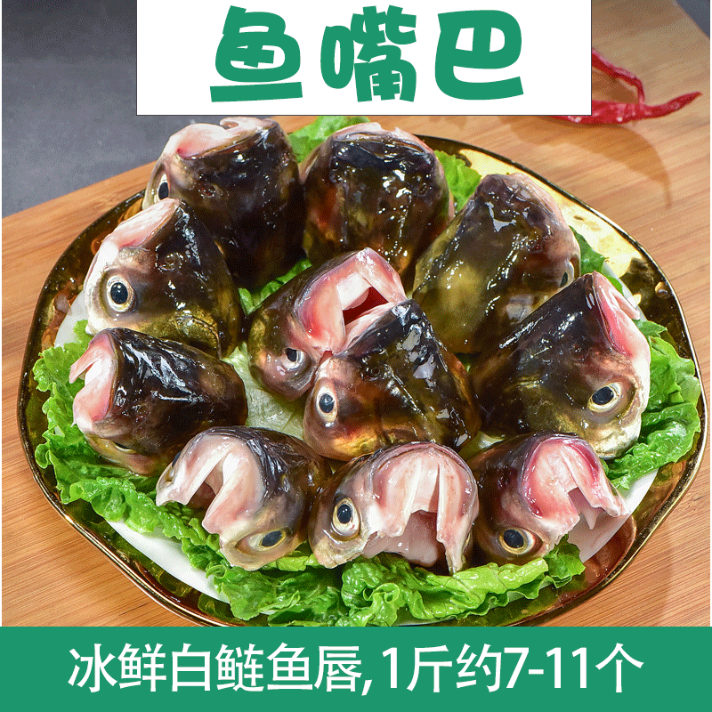 厂家直销冰鲜白鲢鱼嘴巴鱼唇大量供应新鲜冷冻白鲢鱼嘴鱼唇鱼头