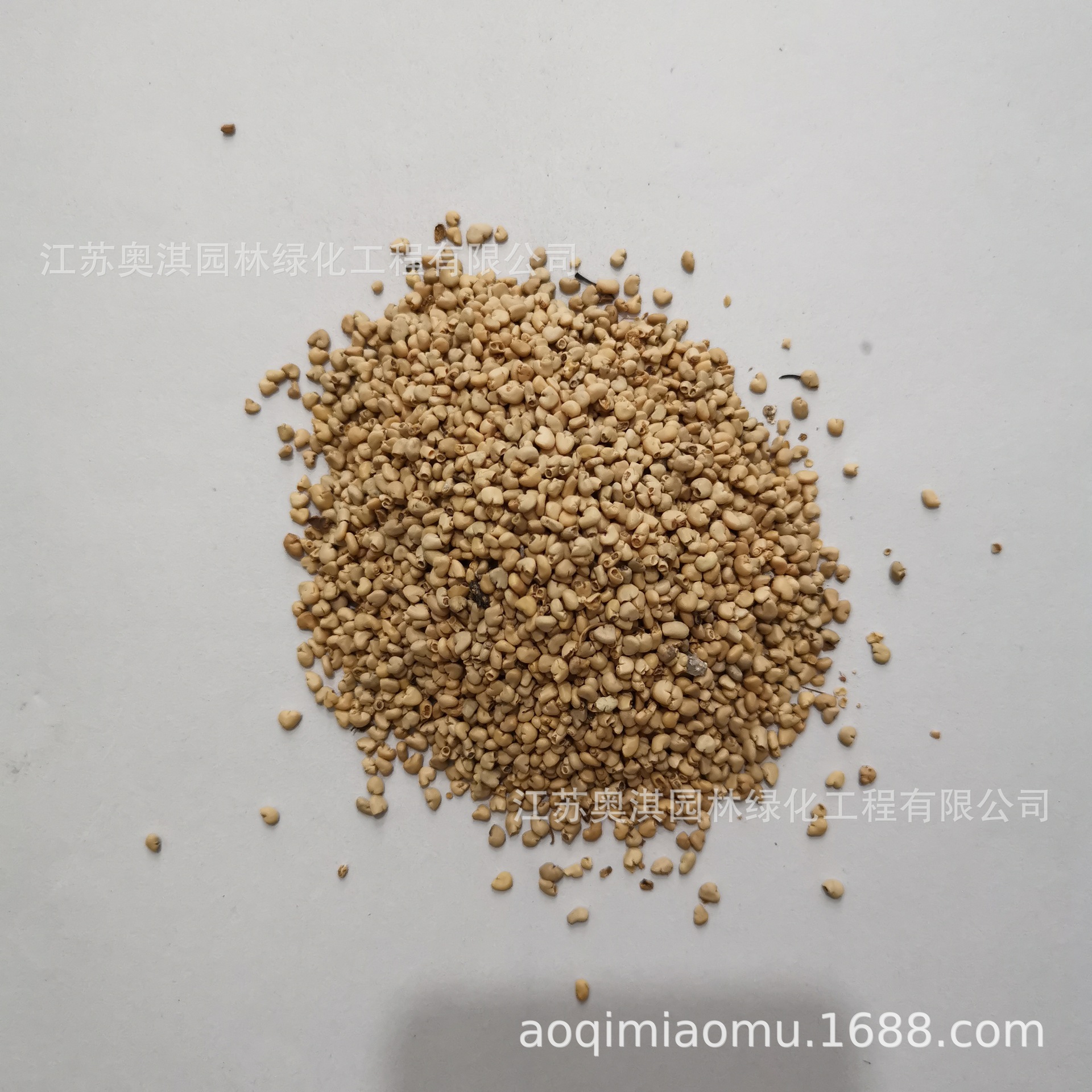 番石榴种子 芭乐种子 鸡屎果拔子喇叭番石榴种子量大优惠货到付款