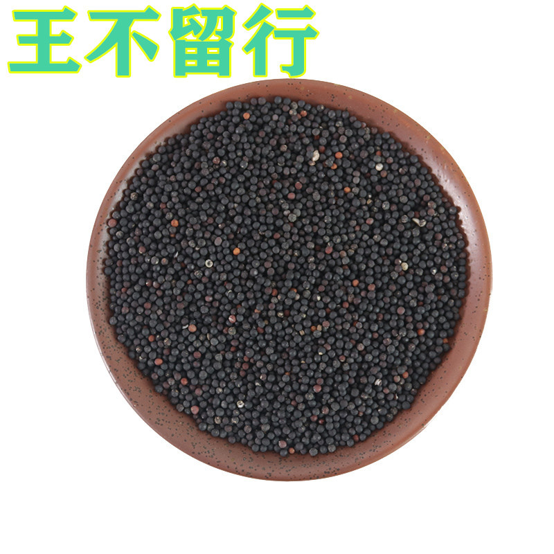 批发供应中药材王不留行 王不留籽 王不留
