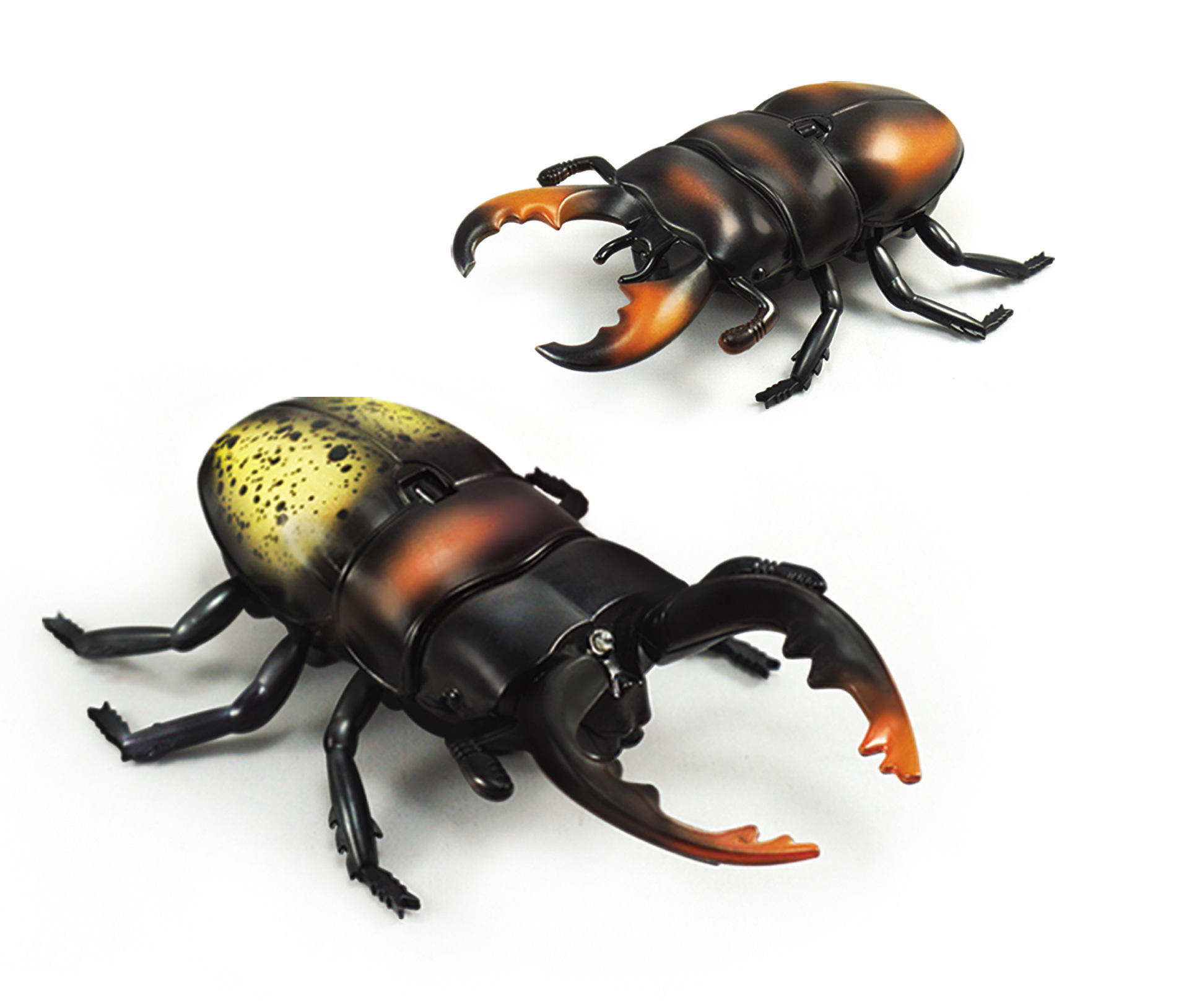 电动整蛊遥控昆虫 高仿真锹甲虫动物模型 新奇特儿童玩具新款热卖