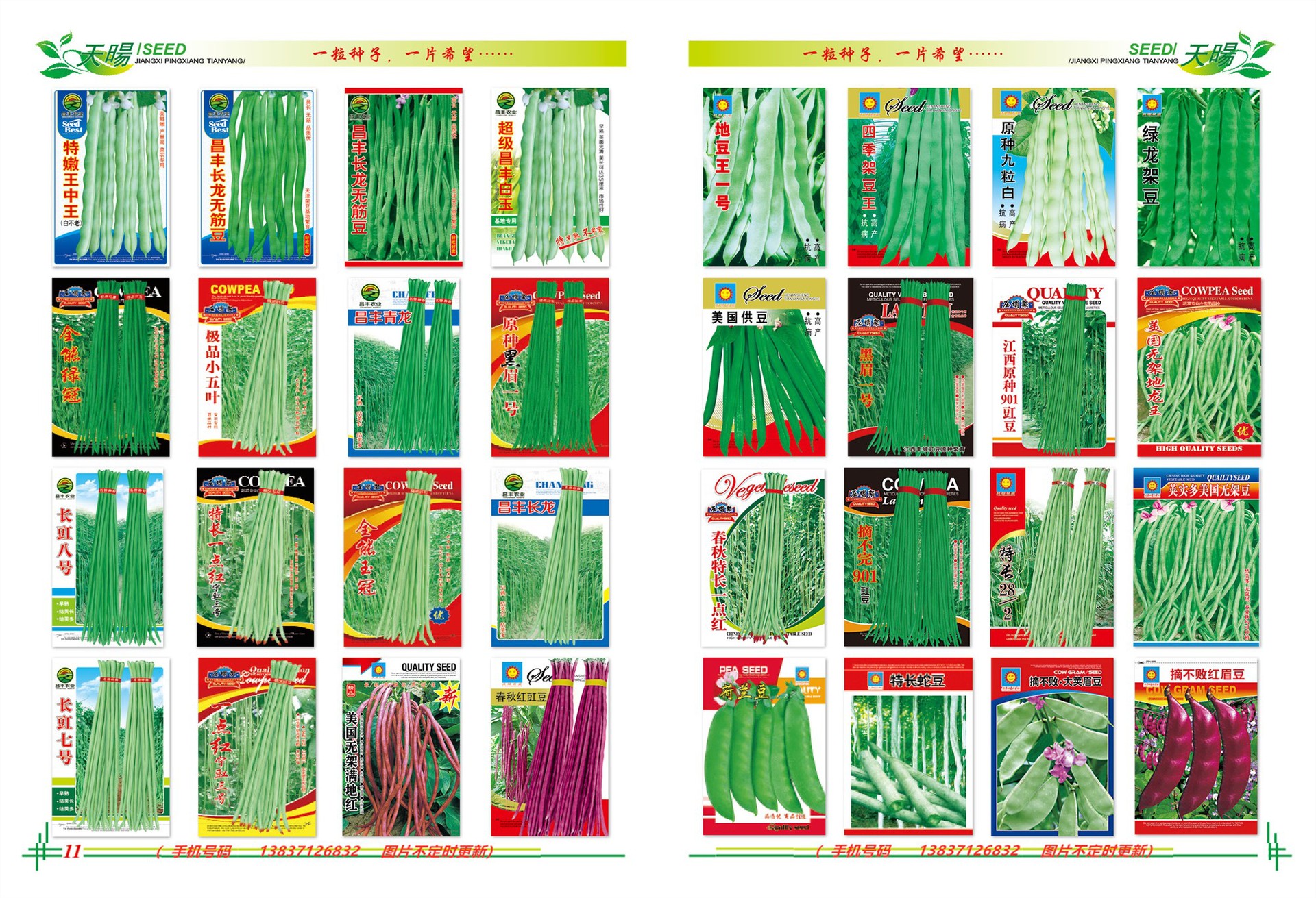 大量批发蔬菜种子,家庭装蔬菜种子 草坪种子菜种子散装蔬菜种子