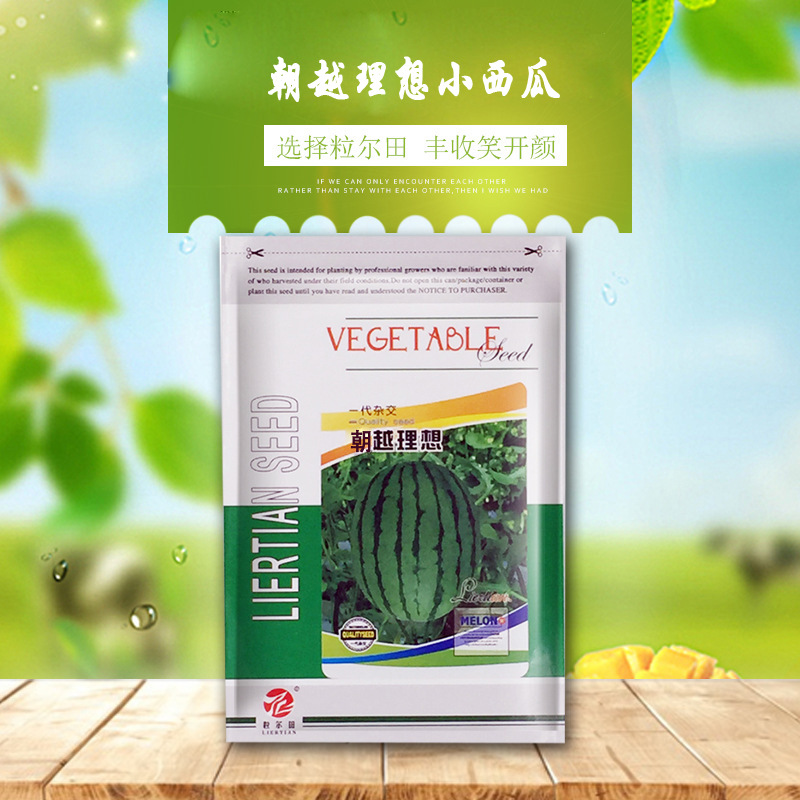 小型礼品西瓜种子吊蔓西瓜种子皮薄瓤红粒尔田朝越理想西瓜种籽