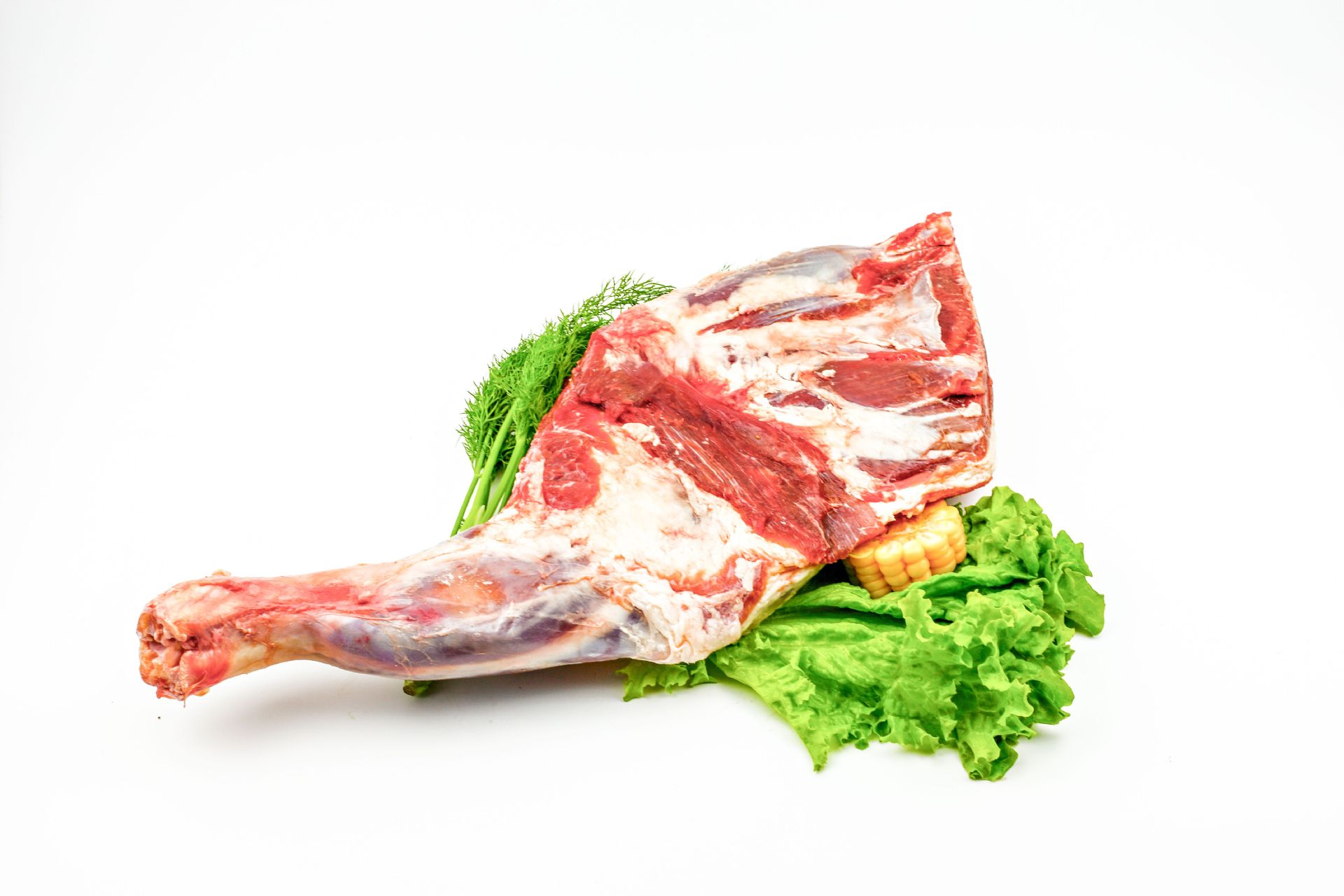 批发国产带骨羔羊排 育肥羊排 羔羊前腿适合烧烤串穿使用冷链配送