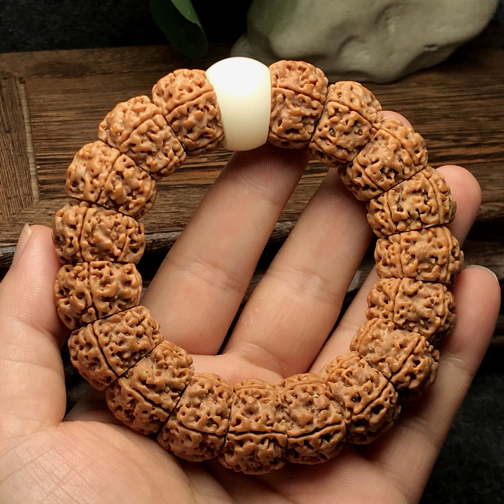 精工尼泊尔五瓣扇面金刚菩提 五线连满肉金刚伏魔圈 搭白玉菩提根