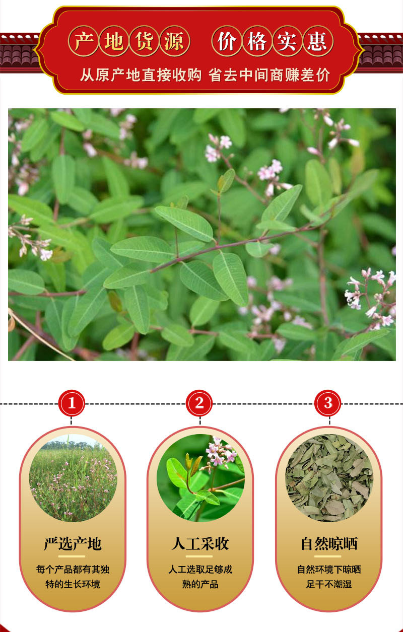 中药材批发 优质罗布麻茶 罗布麻 叶 花茶 量大价优 资质齐全