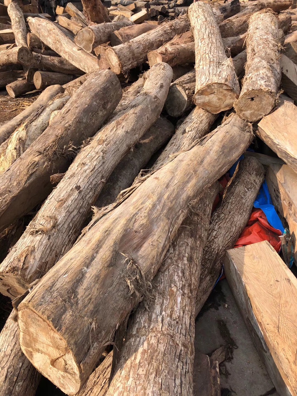 墨西哥黄花梨原木料 黄金檀板材 虎斑檀 破布木可零售