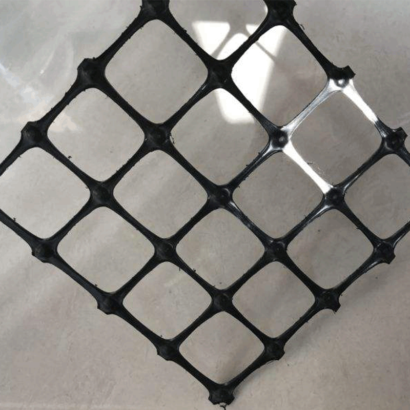 养殖网塑料土工格栅网黑色养鸡养鸭防护网塑料平网加厚网格养殖网