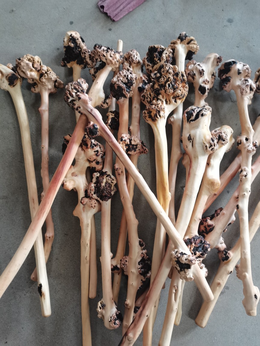 山茶木棍子 崖柏随行健身棍 健身捶木质健身棍子厂家直供