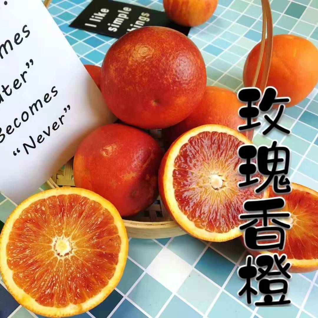 『万州玫瑰香橙』重庆玫瑰血橙红橙现摘红心橙子香甜多汁一件代发