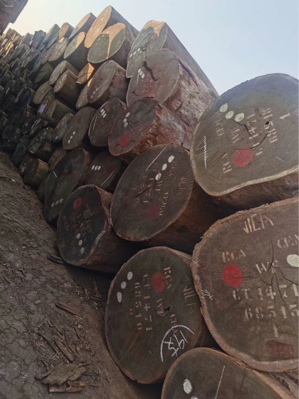 现货优惠非洲核桃木原木板材虎斑木 胡桃木山核桃木