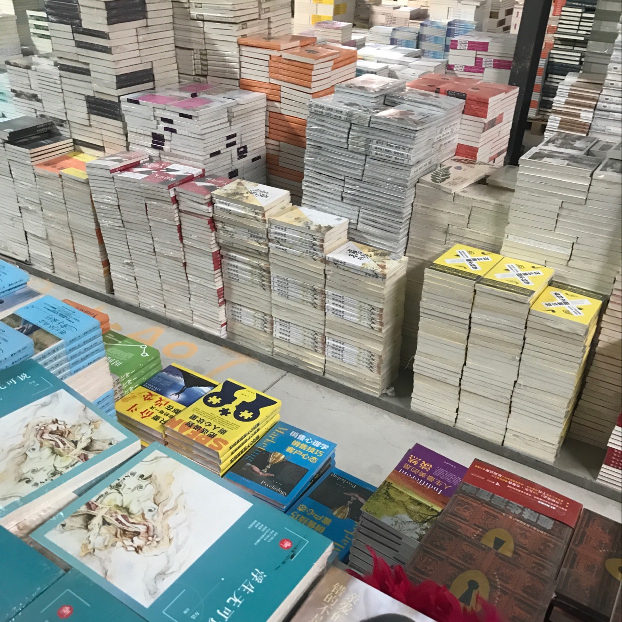 儿童书籍批发正版馆配图书儿童绘本小学课外读物童书特价地摊书籍