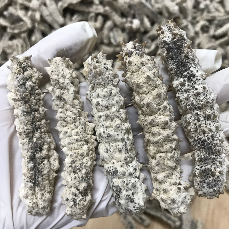 【惠尔本】印尼原刺参白刺参 刺王白刺参 淡干海参 海参干货