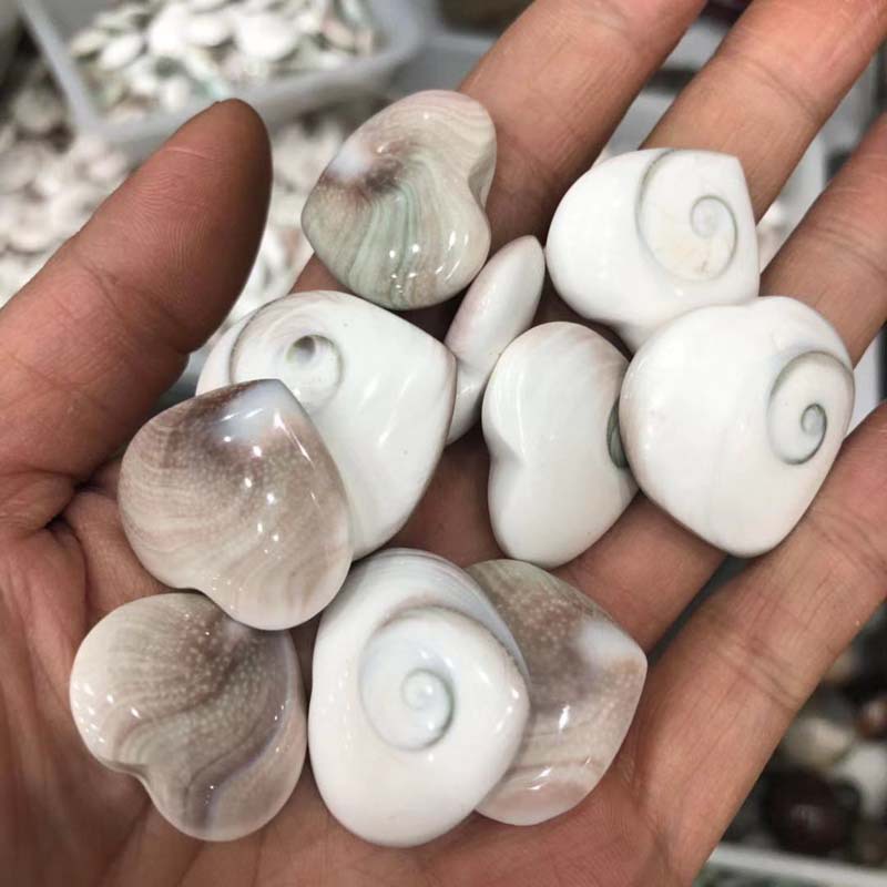 天然太阳贝化石标本爱心摆件吊坠硬贝壳海螺贝壳吊坠家居挂件装饰