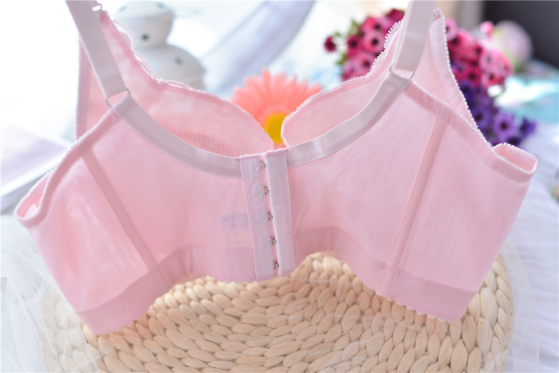 外贸女士时尚调整型少女大杯罩五排扣abcde背扣式文胸