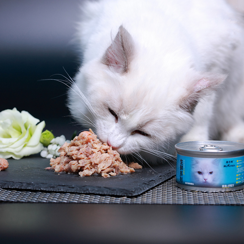 曼赤肯24罐装 鱼虾口味 幼猫营养补充罐头 美味宠物罐头猫猫零食