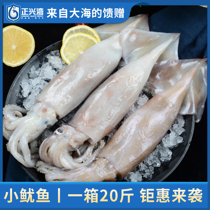 鱿鱼 预制菜源头厂 烧烤 自助 单冻鱿鱼 餐饮酒店 批发商超 网红