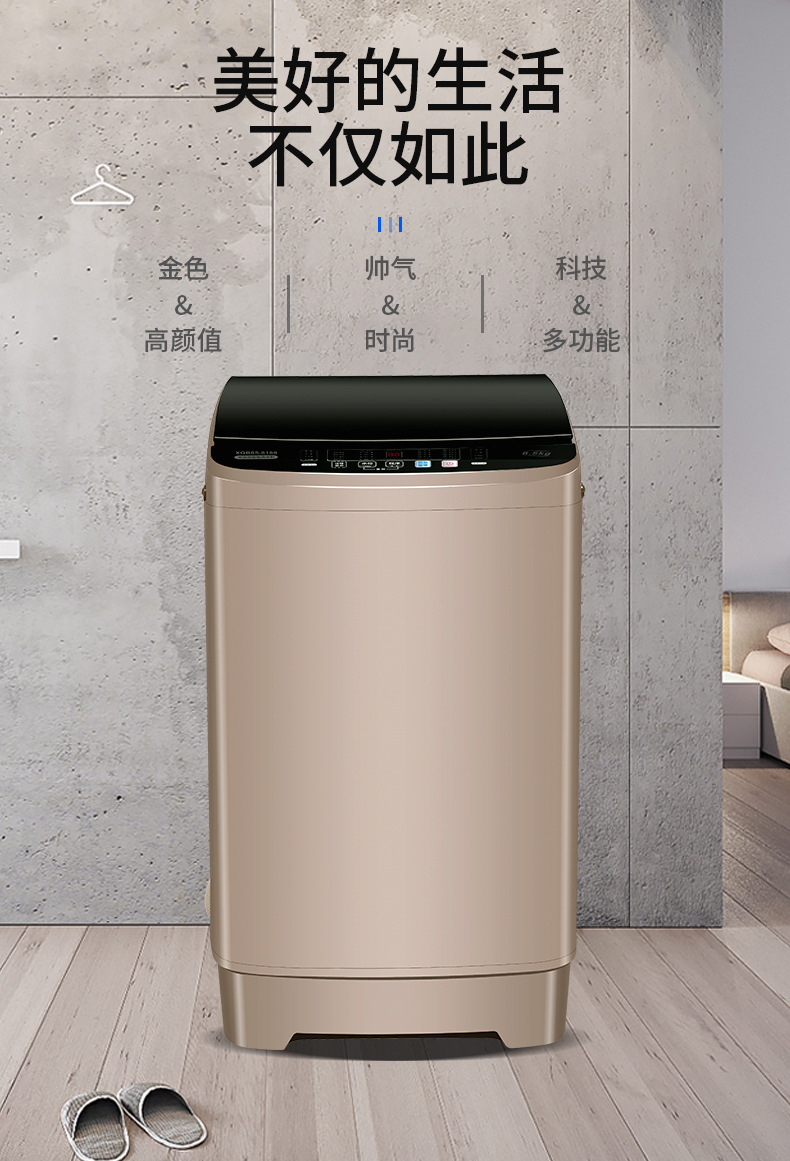 志高洗衣机全自动家用10kg风干商用烘干内衣裤租房酒店大容量洗衣