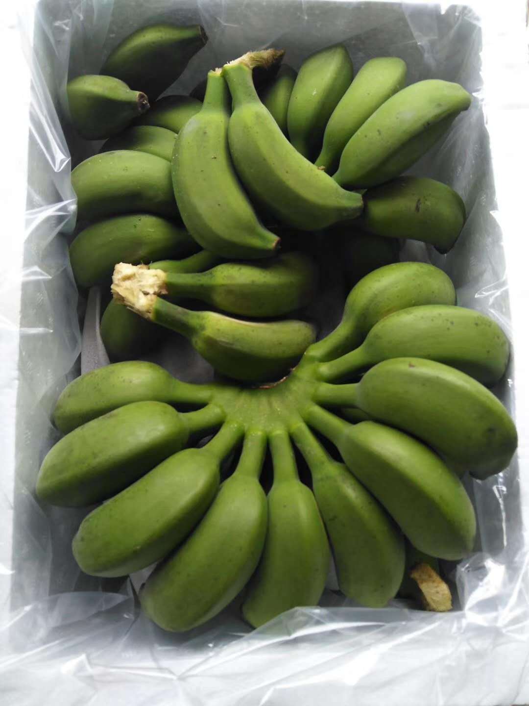 小米蕉广西小米蕉新鲜水果薄皮粉甜芭蕉当季自然熟整箱香蕉批发