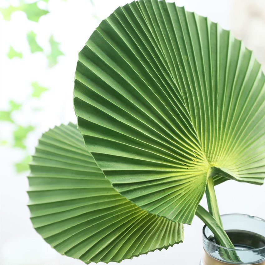 森系婚礼路引仿真花芭蕉叶扇子棕榈叶仿真植物插花配叶葵叶浦叶绿