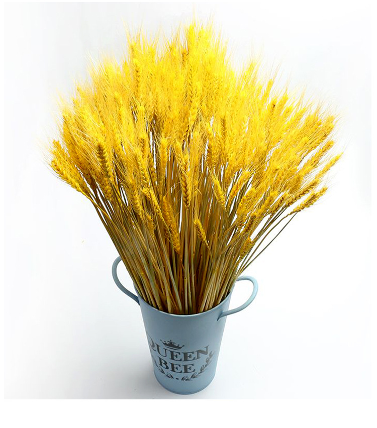 天然大麦穗干花开业花篮大麦田园装饰插花束摆件花店道具diy批发