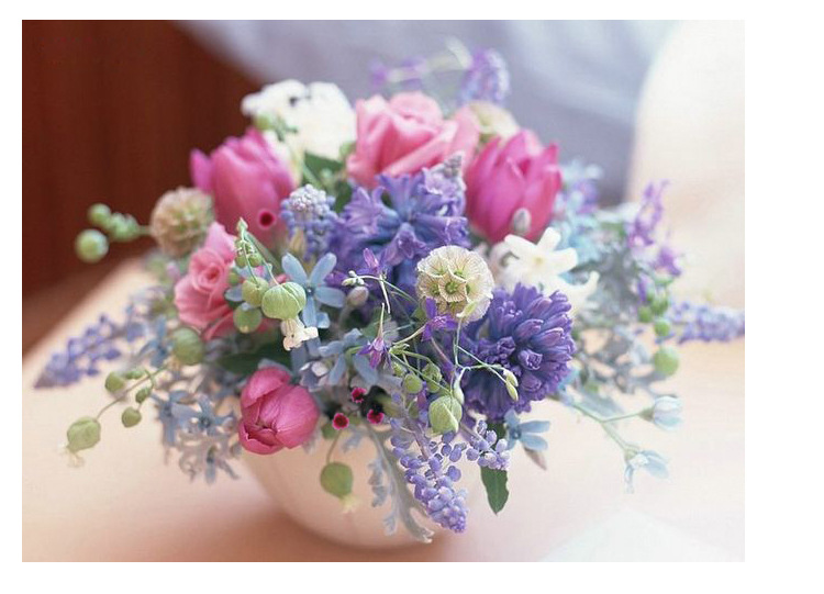 进口日本大地农园紫梅永生花干花diy虎眼配材40400浮游花原材料