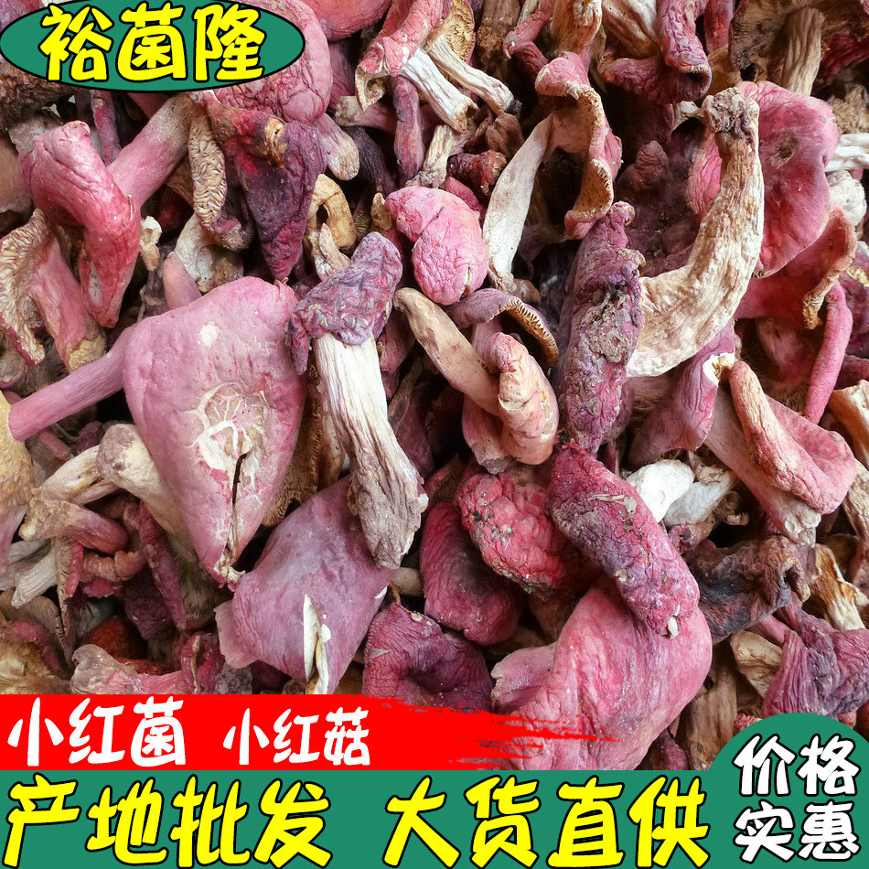 【裕菌隆】红菌 满山红小菇 云南产地红菇直销 大货批发-阿里巴巴