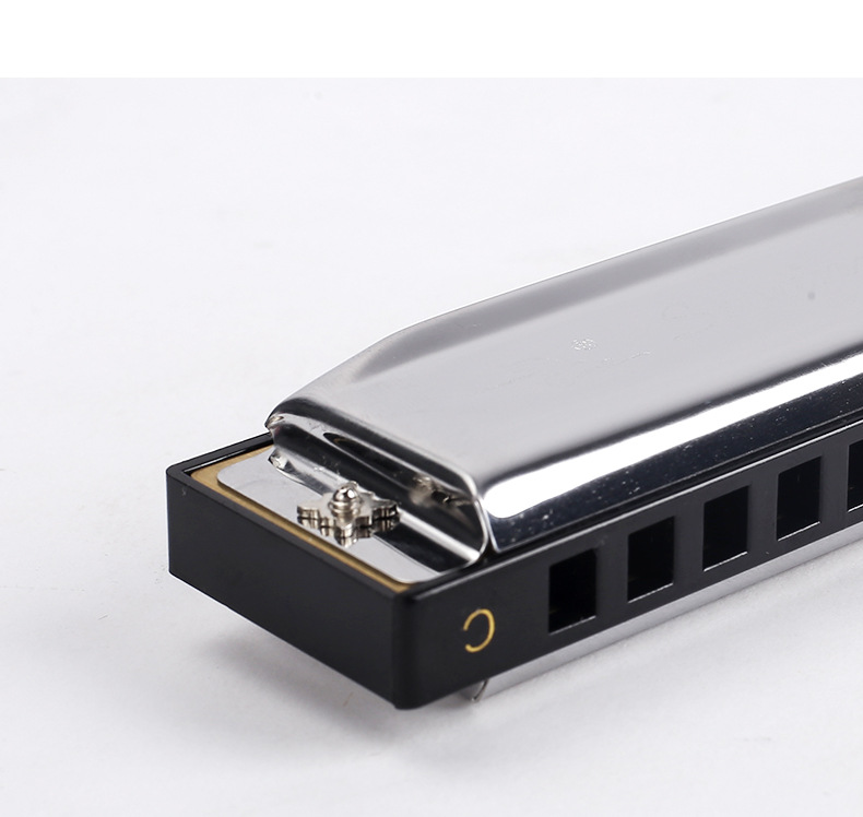 天鹅牌10孔口琴 10孔20音布鲁斯全音阶口琴 初学演奏乐器口琴批发